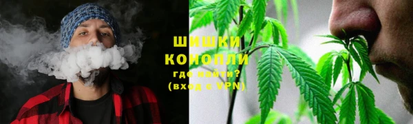 PSILOCYBIN Липки