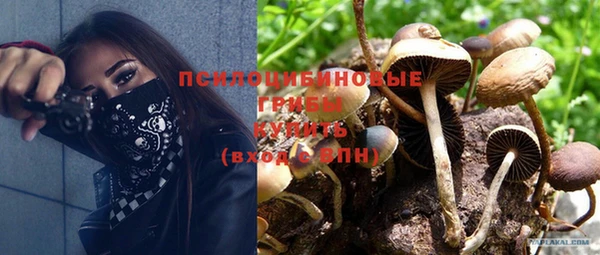 PSILOCYBIN Липки